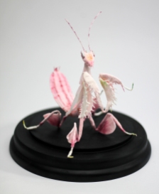 Crepe_Paper_Insects_PaperArt_Praying_orchid_mantis_by_faltmanufaktur12
