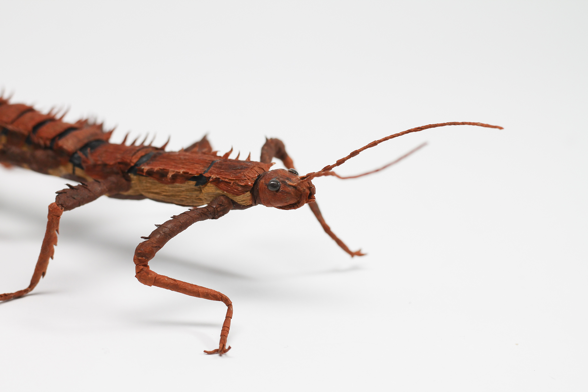 Crepe_Paper_Insects_PaperArt_thorny_devil_StickInsect_by_faltmanufaktur22