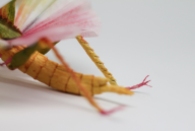 Crepe_Paper_Insects_PaperArt_Tropidacris_Locust_by_faltmanufaktur03