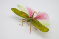 Crepe_Paper_Insects_PaperArt_Tropidacris_Locust_by_faltmanufaktur04