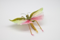Crepe_Paper_Insects_PaperArt_Tropidacris_Locust_by_faltmanufaktur05 (Kopie)