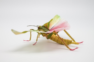 Crepe_Paper_Insects_PaperArt_Tropidacris_Locust_by_faltmanufaktur06
